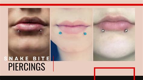 lip piercing snake bites|How to Pierce Snakebites: 7 Steps (with Pictures)